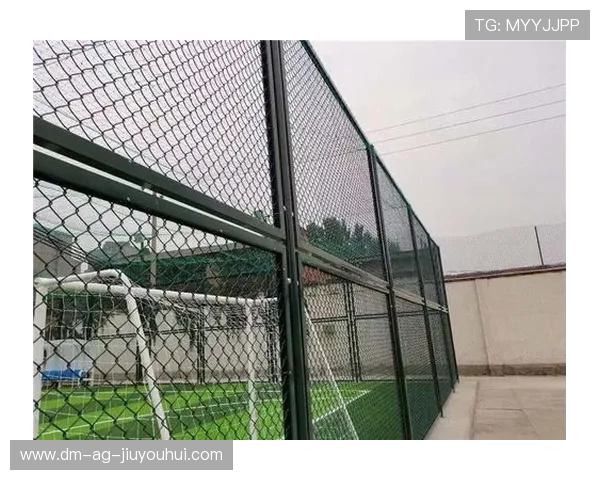 围绕足球场专用顶网的结构设计与安全性能及维护要点全面解析