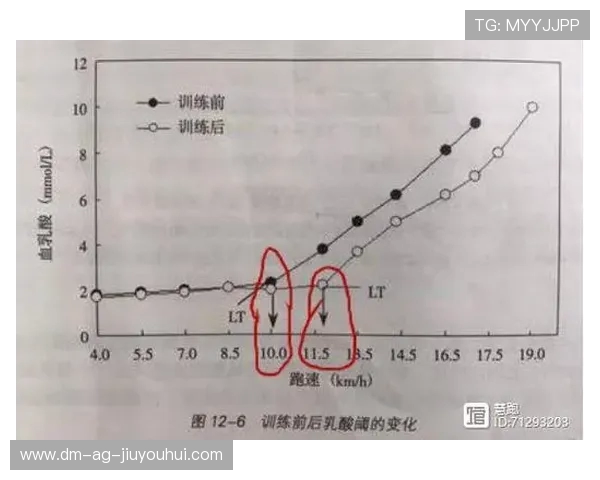 足球训练中的无氧与有氧运动效果对比与应用探析